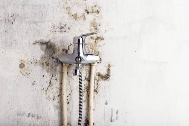 Best Residential Mold Remediation in Glenrock, WY